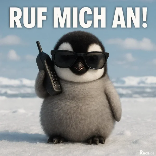 Dieses Spruch-Bild zeigt einen niedlichen, jungen Pinguin, der eine schwarze Sonnenbrille trägt und ein Retro-Mobiltelefon ans Ohr hält. Er steht selbstbewusst auf schneebedecktem Boden mit einem klaren, blauen Himmel im Hintergrund. Das Bild strahlt Coolness, Witz und Leichtigkeit aus