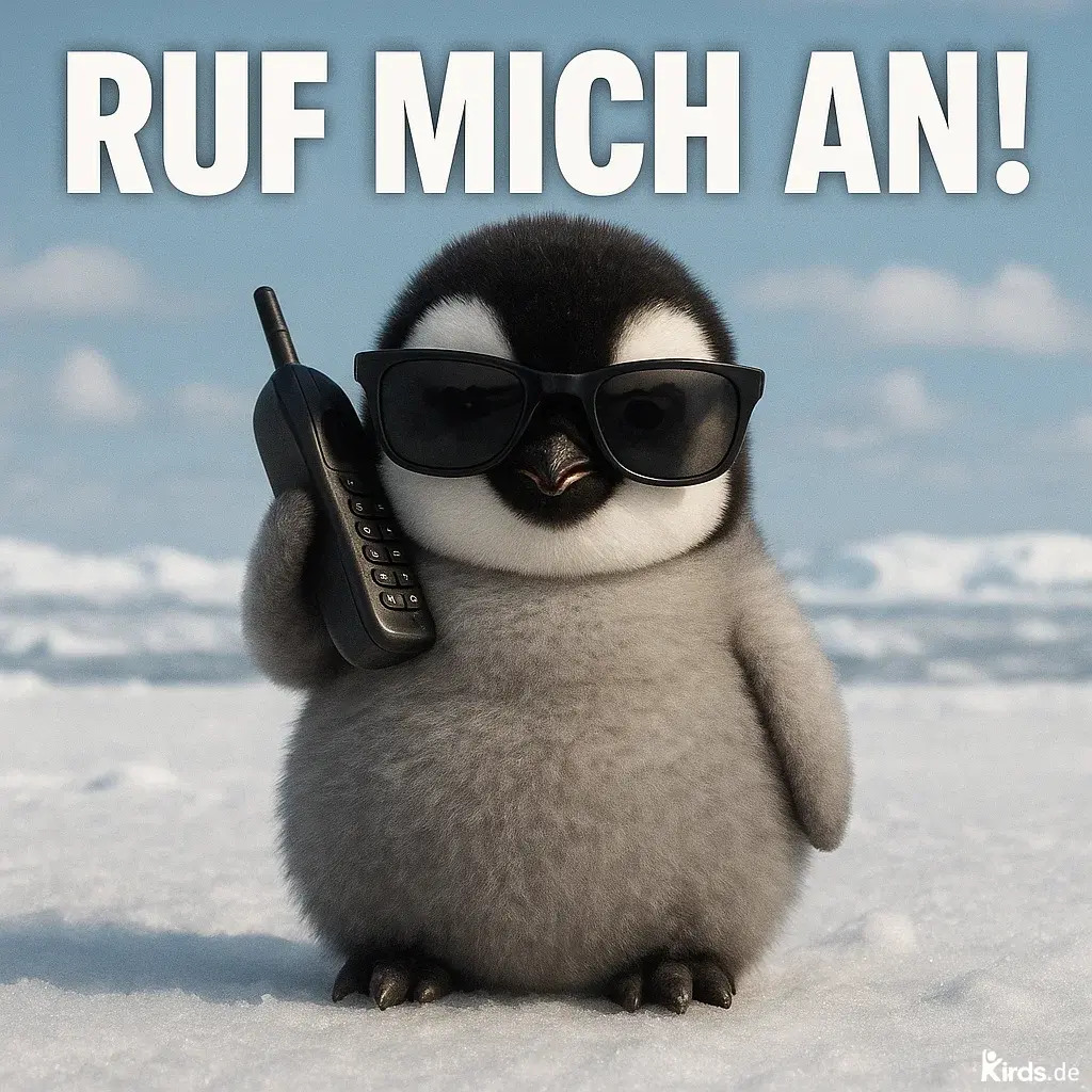 Dieses Spruch-Bild zeigt einen niedlichen, jungen Pinguin, der eine schwarze Sonnenbrille trägt und ein Retro-Mobiltelefon ans Ohr hält. Er steht selbstbewusst auf schneebedecktem Boden mit einem klaren, blauen Himmel im Hintergrund. Das Bild strahlt Coolness, Witz und Leichtigkeit aus
