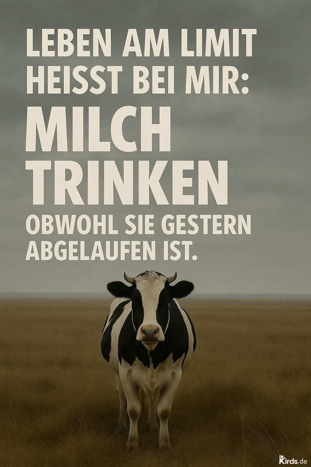 Dieses Spruch-Bild spielt humorvoll mit dem Thema „Mut im Alltag“: Eine schwarz-weiße Kuh steht zentral im Bild auf einer weiten Wiese unter grauem Himmel. Darüber steht der ironisch-witzige Spruch in klarer, großer Schrift. Die Kuh symbolisiert die Quelle der Milch, während das gesamte Setting eine ruhige, fast ernste Kulisse bildet – ein spannender Kontrast zur humorvollen Aussage.